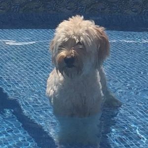 Meet your Posher, Tori